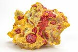 Vibrant Orpiment and Realgar Association - Russia #212807-1